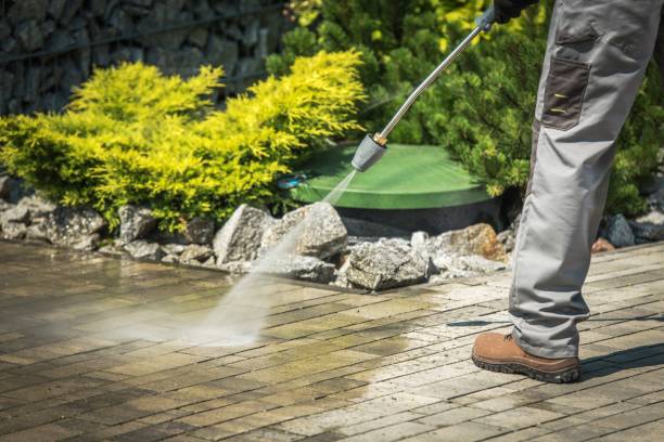 Best Soft Washing  in Marquette Heights, IL