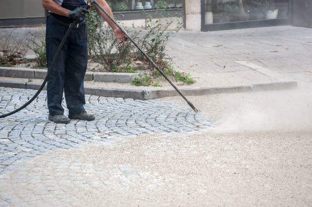 Best Driveway Pressure Washing  in Marquette Heights, IL